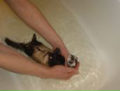 Дима Сергеевич фотография #26 (источник - https://vk.com/id1479155)