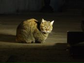 Илья Букеев фотография #16 (источник - https://vk.com/id1196595)