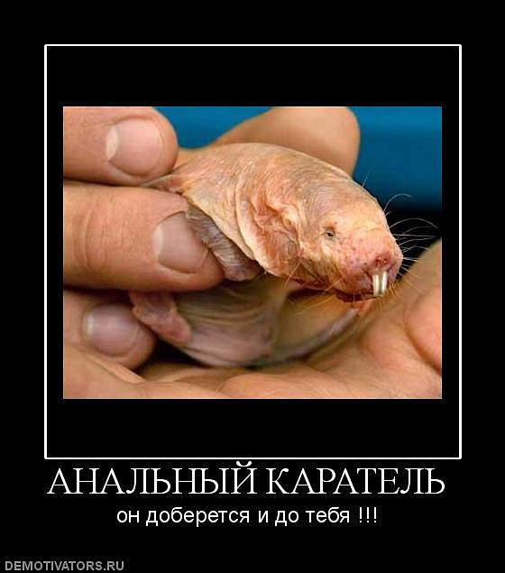 Иван Пташник фотография #18