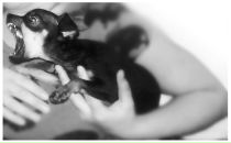 Фотография Антонова Татьяна