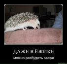 Фотография Майбурова Сергея