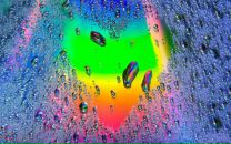 Фотография Каретниковой Анны