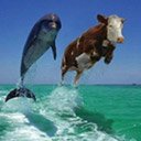 Андрій Хмельков фотография #1