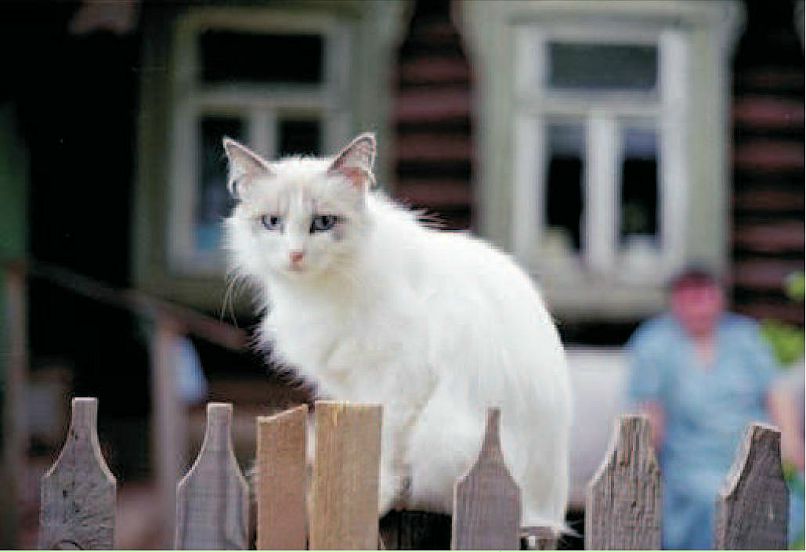 Дмитрий Лукьяненко фотография #27