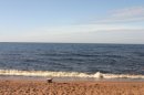 Фотография Верещагиной Любови