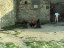 Тарас Ступінський фотография #50 (источник - https://vk.com/id20154560)