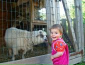 Тетяна Ціко фотография #42 (источник - https://vk.com/id6224506)