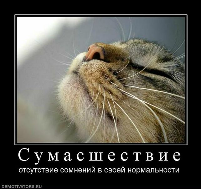 Дмитрий Артемьев фото №18