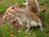 Виктор Осадчев фотография #26 (источник - https://vk.com/id5105952)