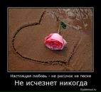 Фотография Хамматова Альберта