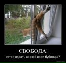 Доза Адреналина=))) фотография #40 (источник - https://vk.com/id79150058)