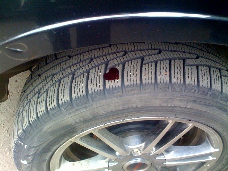 Olg Da фото №9