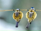 Ігор Завгородній фотография #35 (источник - https://vk.com/id27050164)