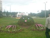 Фотография Баянкина Дмитрия