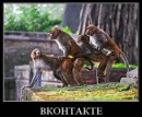 Андрій Лемішевський фотография #46 (источник - https://vk.com/id65081887)