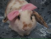 Фотография Михайловой Евгении