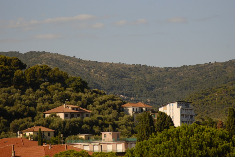 Оля Седина фотография #41