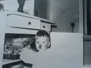 Фотография Олещенко Антона
