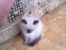 Максим Присяжнюк фотография #16 (источник - https://vk.com/id55117334)