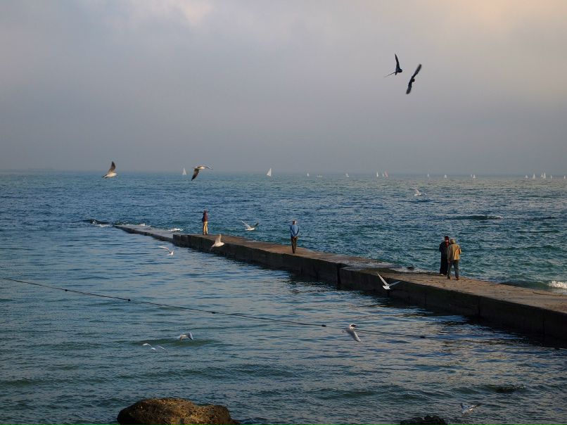 Сергей Медведев фотография #21