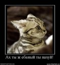 Фотография Сиджа Сергея