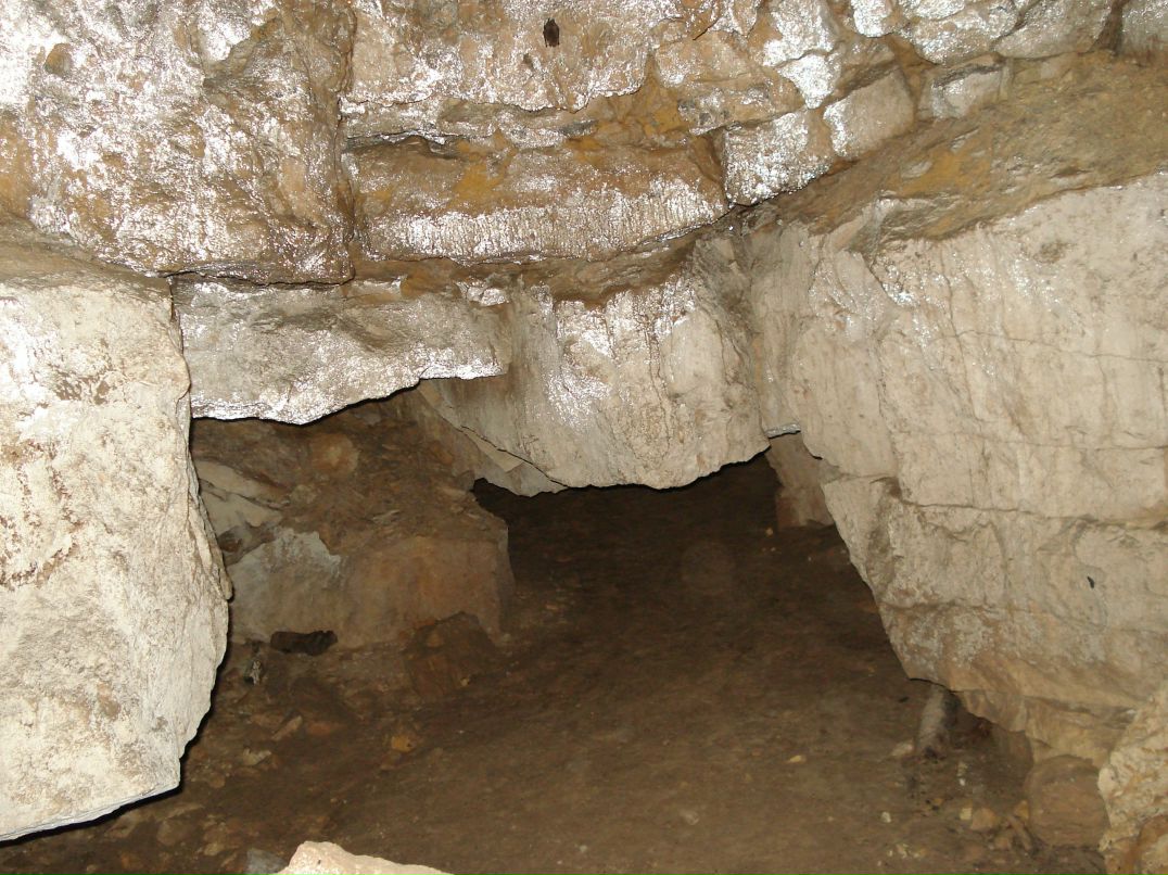 Виктор Матвеев фотография #3