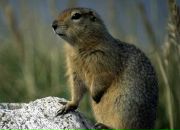 Фотография Майорова Алексея