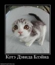 N[i]ki Baby фотография #22 (источник - https://vk.com/id66662499)