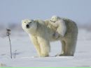 Фотография Осташовой Наталии