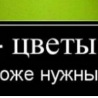 ♥♥алёнка♥♥ Махненко♥♥ фотография #25 (источник - https://vk.com/id151845618)