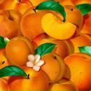 Фотография Васильев Иван