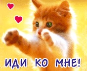 №20, Елена Козикова №20, Елена Козикова