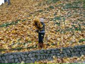 Фотография Горской Ольги