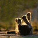 Фотография Киселевой Юлии