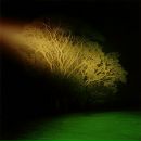 Фотография Da Lida