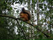 Фотография Петречука Сергея