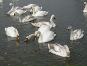 Юра Глібка фотография #27 (источник - https://vk.com/id53235697)