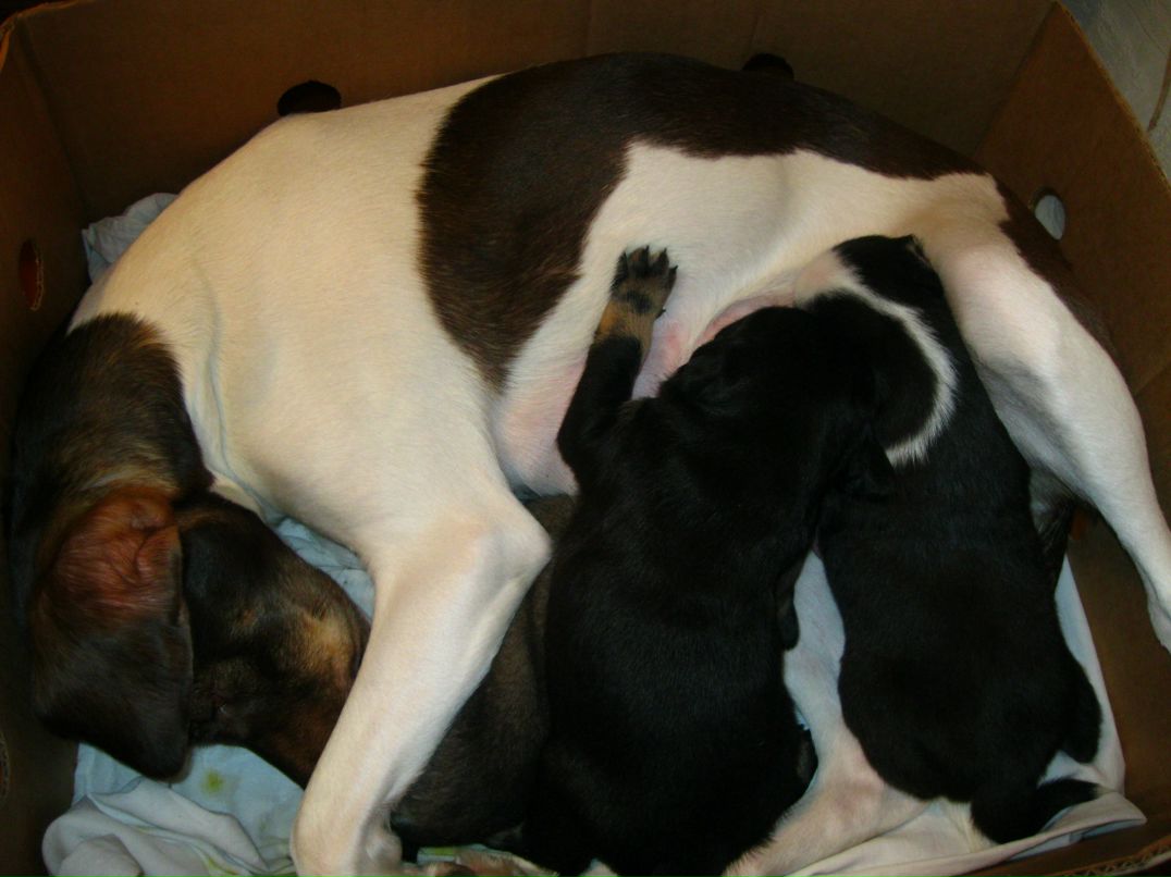 Станислав Стас фотография #21