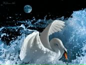 Фотография Прокофьевой Ирины