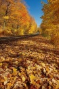 Фотография Ахметовой Айгуль