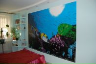 Renat Mensitov фотография #25 (источник - https://vk.com/id121567271)