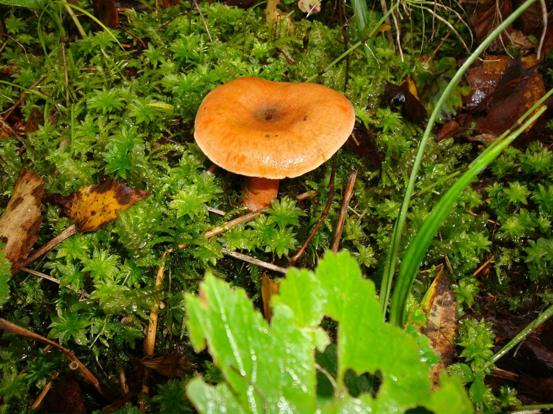 Эмма Кубло фотография #29