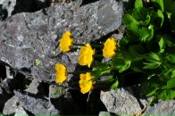 Nick N фотография #38 (источник - https://vk.com/id16209708)