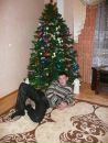 Сергій Бардецький фотография #17 (источник - https://vk.com/id51975251)