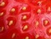 Яна Excale фотография #39 (источник - https://vk.com/id727315)