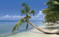 Фотография Медкова Александра