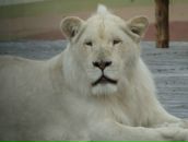 Фотография Зелди Владимира