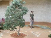 Фотография Драгуна Якова