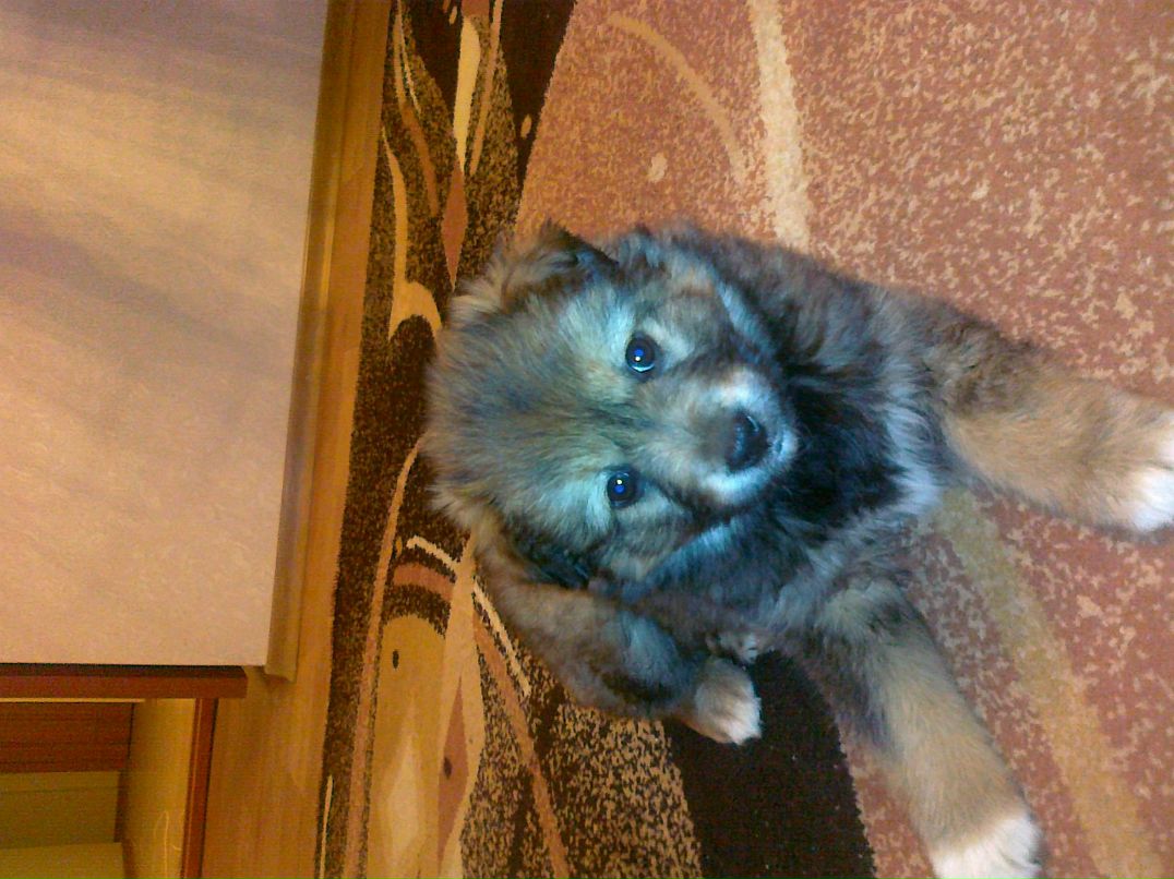 Slavon Neadekvatnux фотография #30