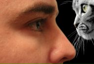 Антон Ермаков фотография #29 (источник - https://vk.com/id4878014)